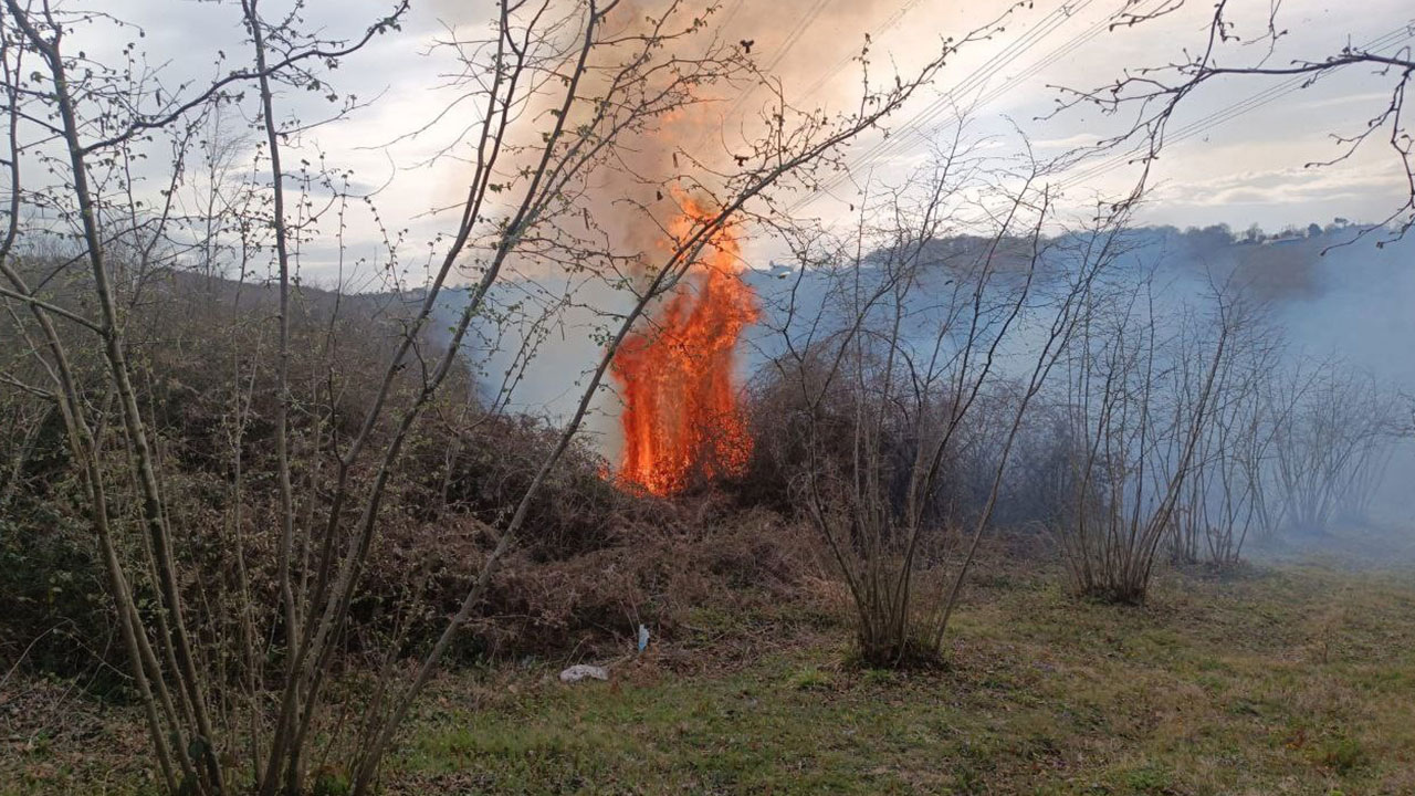 Foto - Havalar ısındı, yangın haberleri gelmeye başladı