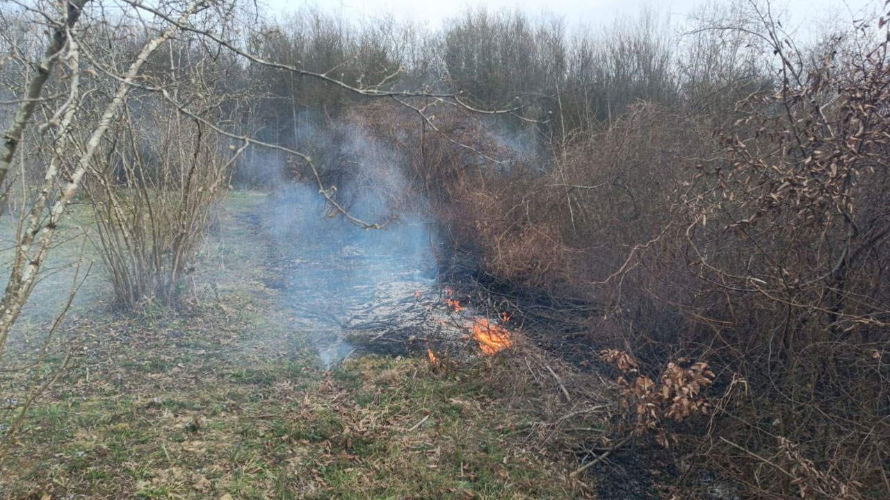 Foto - Havalar ısındı, yangın haberleri gelmeye başladı