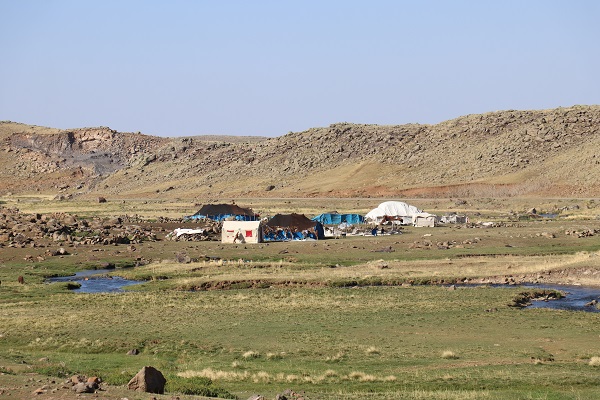 Foto - Havalar soğudu göçerler mesaiyi çobanlara bıraktı