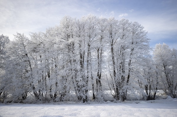 Foto - Havalar soğudu ortaya bu manzara çıktı