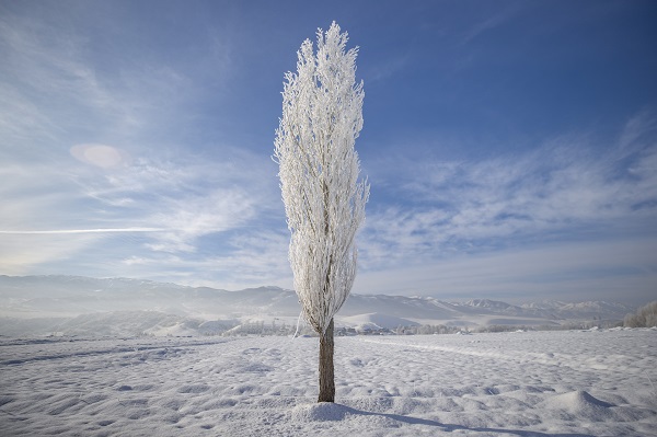 Foto - Havalar soğudu ortaya bu manzara çıktı