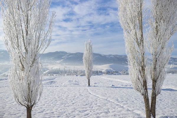 Foto - Havalar soğudu ortaya bu manzara çıktı