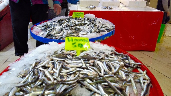 Foto - Havalar soğudu tezgahlar dolup taştı! İzmir'de levrek bolluğu
