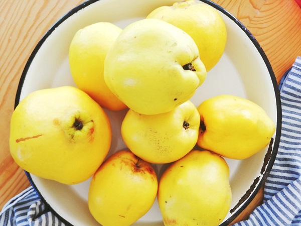 Foto - Havalar soğudu tezgahlarda yerini aldı! Ayva yerken bu hatayı yapmayın