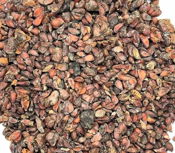 Foto - Havalar soğudu tezgahlarda yerini aldı! Ayva yerken bu hatayı yapmayın