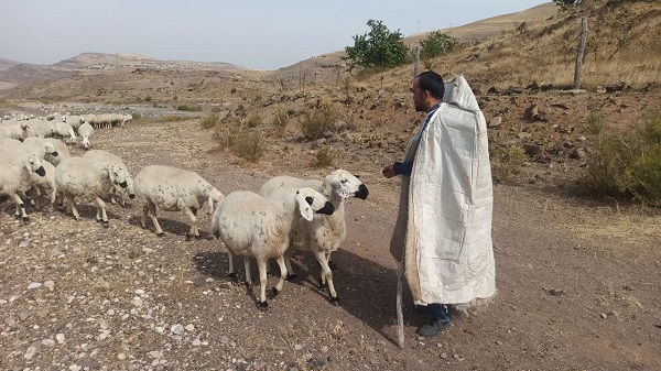 Foto - Havalar soğudu zorlu yolculuk başladı