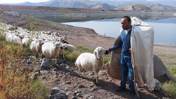 Foto - Havalar soğudu zorlu yolculuk başladı