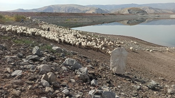 Foto - Havalar soğudu zorlu yolculuk başladı