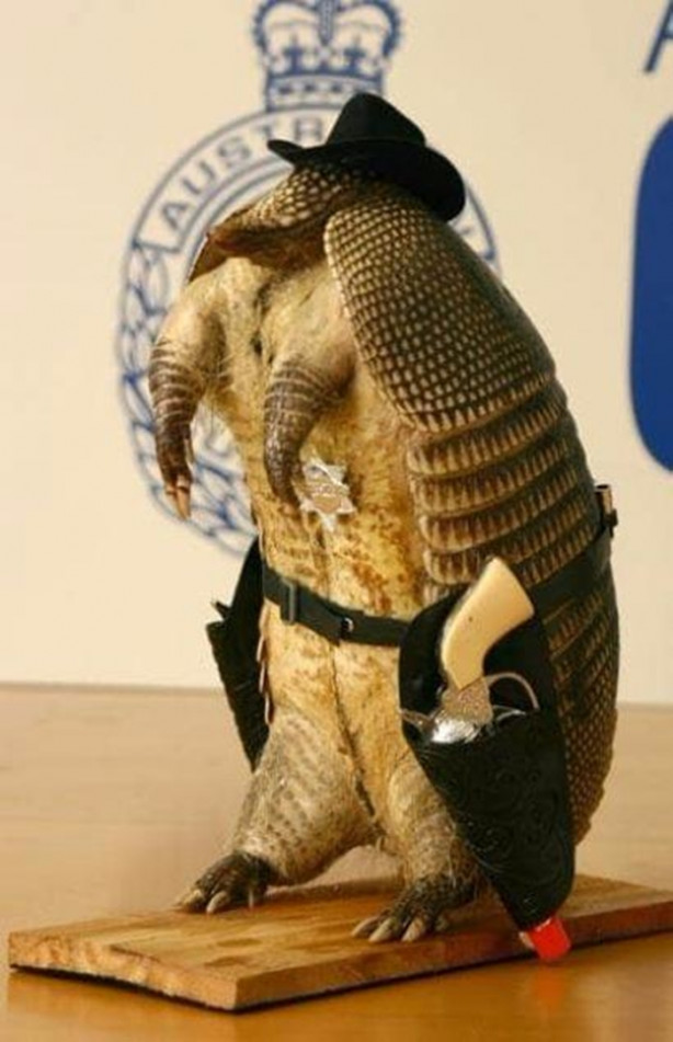 Foto - Havalimanında yakalanan eşyalar şok etti!