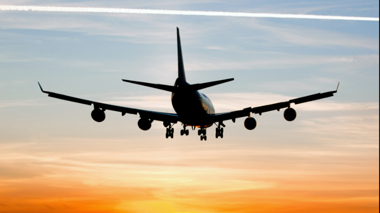 Havayolu devine siber saldırı! Onlarca sefer iptal oldu