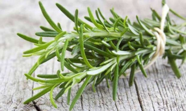 Foto - Havuç baş ağrısına iyi geliyor!