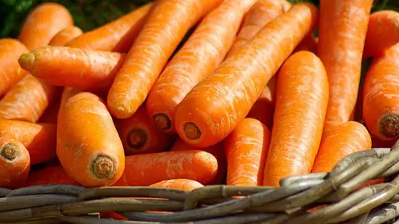 Foto - Havuç tüketenler dikkat! Ten rengini değiştiriyor! Havuç yediğinizde hem fayda hem de bazı riskler taşıyor