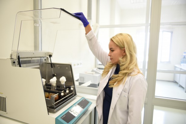 Foto - Havuçta anti-kanser özelliği tespit edildi