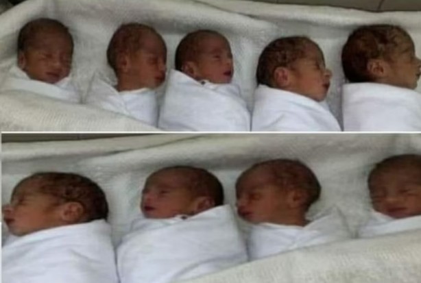 Foto - Hay Maşallah! Tek seferde 9 doğurdu