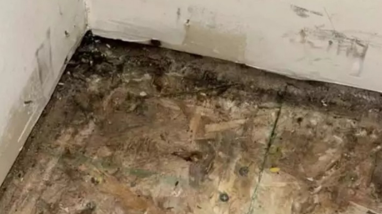 Foto - Hayal ettiği ev kabusa döndü: 2 günde kaçmak zorunda kaldı!