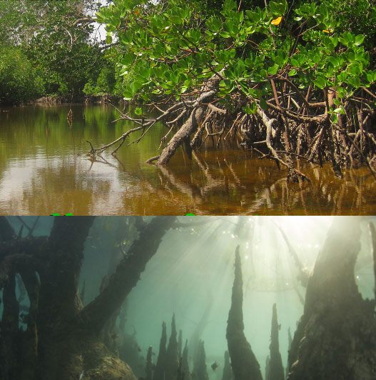 Foto - Hayal kırıklığı! Ünlü yerlere bir de bu açıdan bakın...