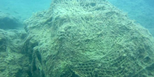 Hayalet ağ nedir? Deniz ekosistemi tehdit altında: ‘Hayalet ağı' tehlikesi! Deniz ekosistemi canlıları