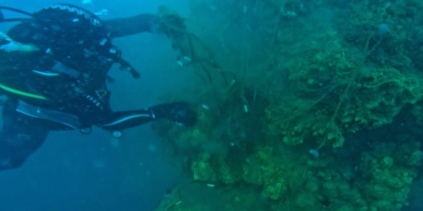 Foto - Hayalet ağlar böyle temizleniyor