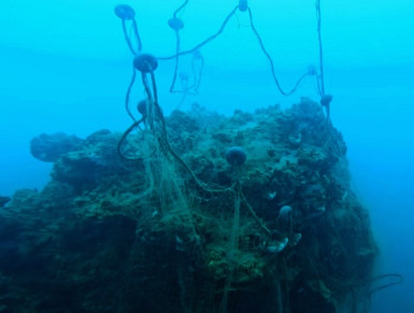 Foto - Hayalet ağlar böyle temizleniyor