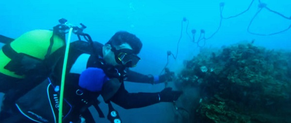 Foto - Hayalet ağlar böyle temizleniyor