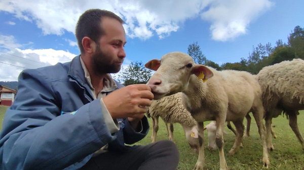 Foto - Hayali kaymakamlıktı! İki üniversite bitirip çobanlık yapmaya başladı