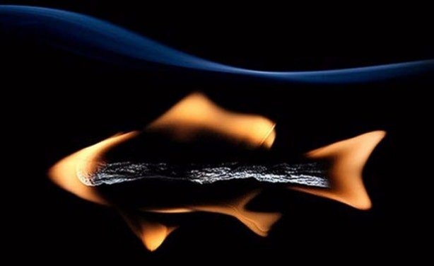 Foto - Hayat kolaylaştıran bilgiler