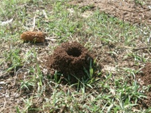 Foto - Hayat kurtaran yöntemler