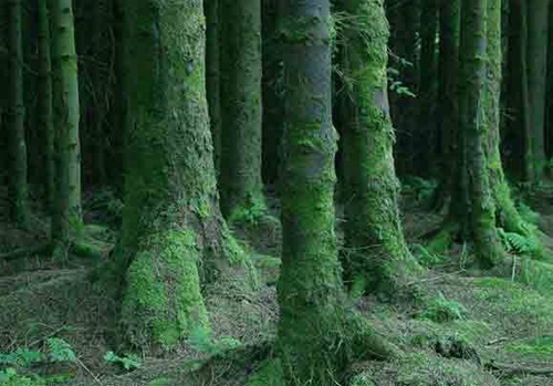 Foto - Hayat kurtaran yöntemler