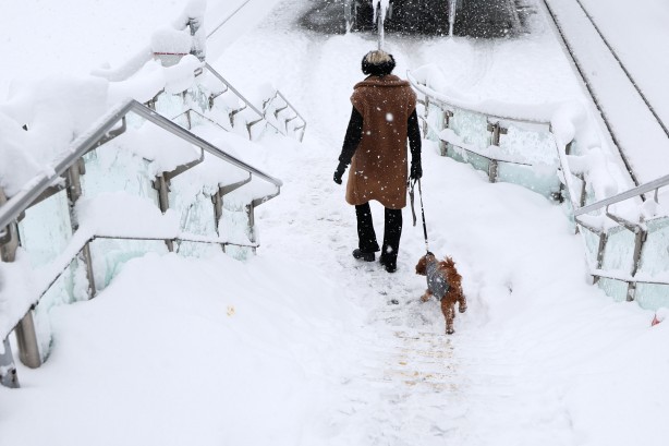 Foto - Hayat onlar için resmen durdu! Kar yağışı ulaşımı ve futbolu vurdu! Bayern Münih-Union Berlin maçı iptal!