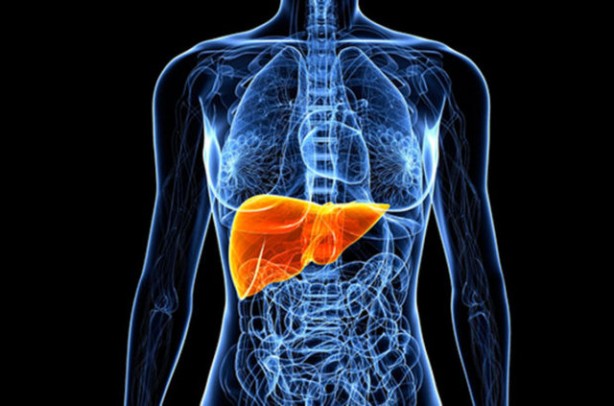 Foto - Hayati görevleri bulunuyor! İşte o organı koruyan besinler