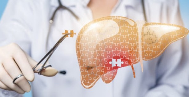 Foto - Hayati görevleri bulunuyor! İşte o organı koruyan besinler