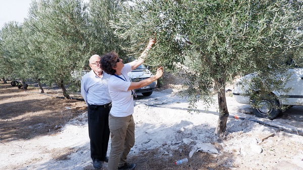 Foto - Hayatı tamamen değişti! Doktorluğu bıraktı bakın ne yetiştirmeye başladı