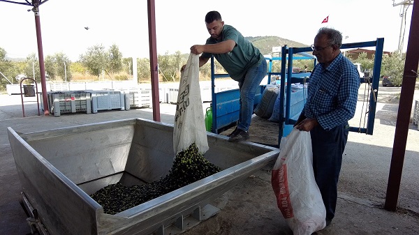 Foto - Hayatı tamamen değişti! Doktorluğu bıraktı bakın ne yetiştirmeye başladı