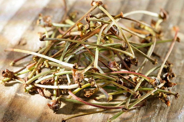 Foto - Hayati uyarıyı yaptılar! Saplarını sakın atmayın, vücutta ödem bırakmıyor