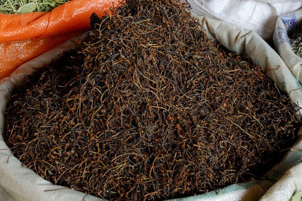 Hayati uyarıyı yaptılar! Saplarını sakın atmayın, vücutta ödem bırakmıyor