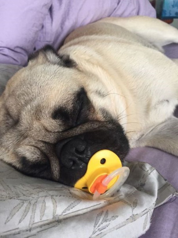 Foto - Hayatın içinden ilginç kareler