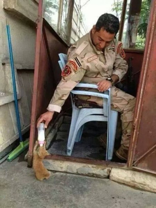 Foto - Hayatın içinden ilginç kareler