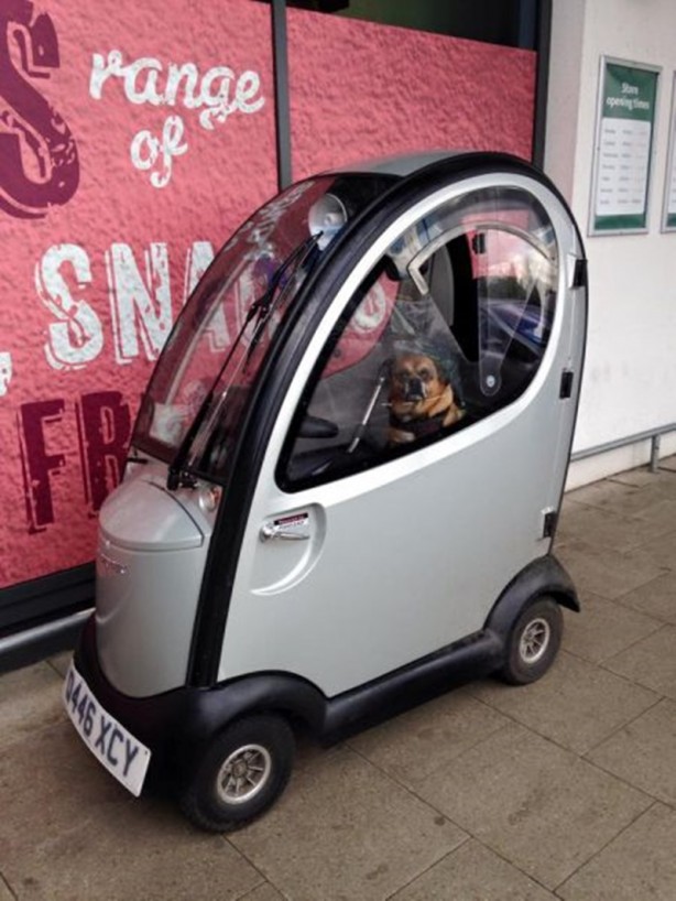 Foto - Hayatın içinden ilginç kareler