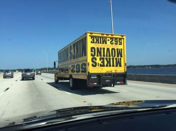 Foto - Hayatın içinden ilginç kareler