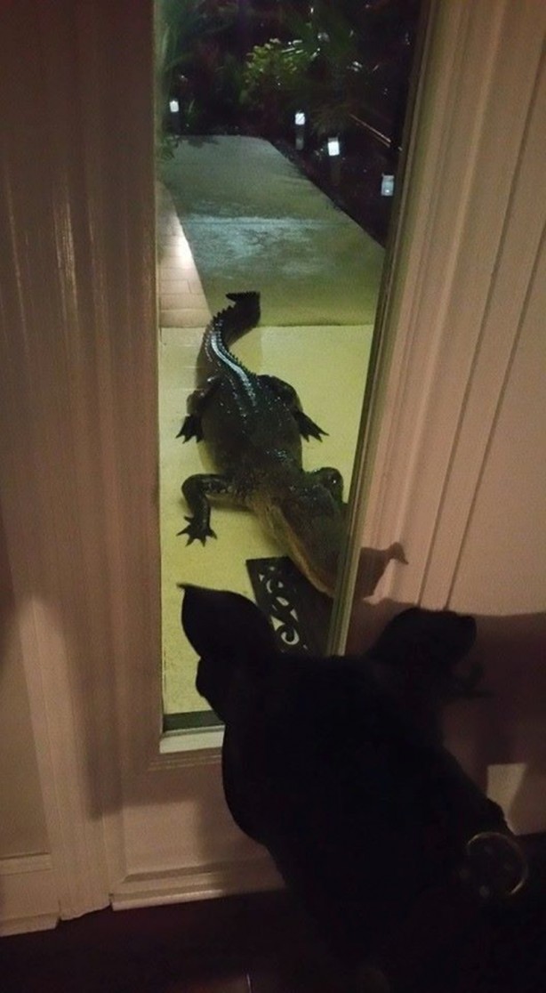 Foto - Hayatın içinden ilginç kareler