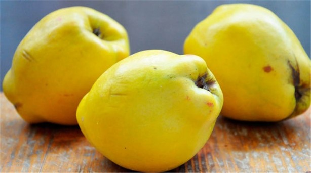 Foto - Hayatınızı kolaylaştıracak pratik bilgiler