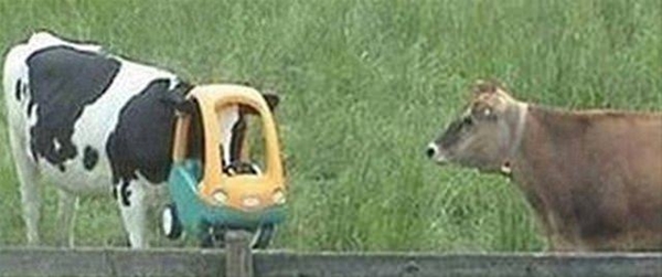 Foto - Hayatlarının en büyük derslerini aldılar!