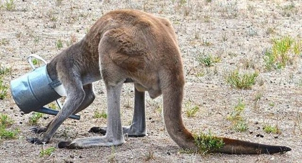 Foto - Hayatlarının en büyük derslerini aldılar!