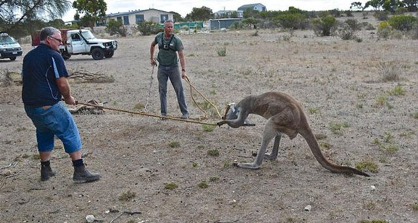 Foto - Hayatlarının en büyük derslerini aldılar!
