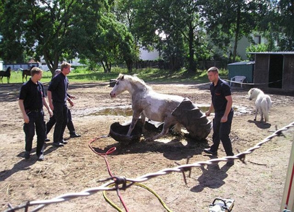 Foto - Hayatlarının en büyük derslerini aldılar!