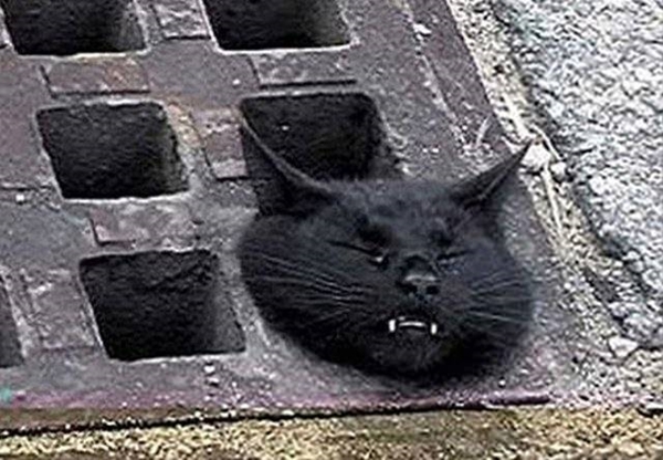 Foto - Hayatlarının en büyük derslerini aldılar!