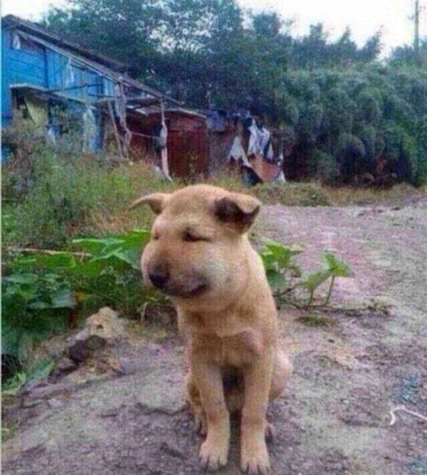 Foto - Hayatlarının en büyük derslerini aldılar!