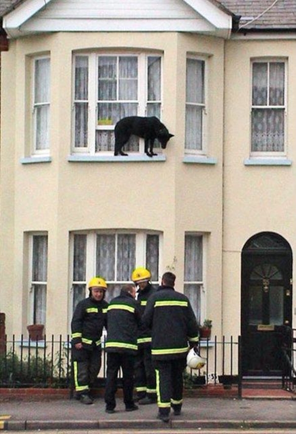 Foto - Hayatlarının en büyük derslerini aldılar!