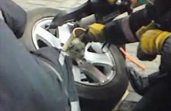 Foto - Hayatlarının en büyük derslerini aldılar!