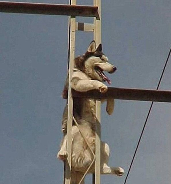 Foto - Hayatlarının en büyük derslerini aldılar!